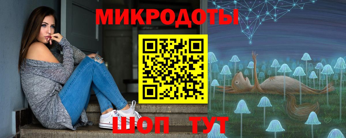 Галлюциногенные грибы Psilocybe Киселёвск