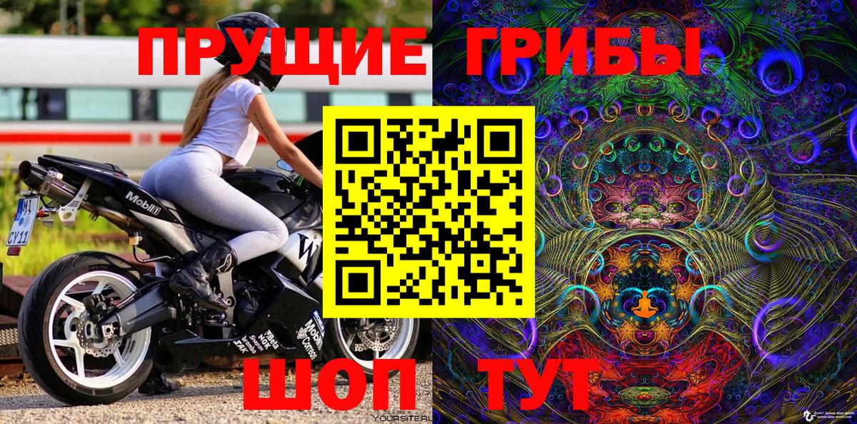 Киселёвск  Галлюциногенные грибы Psilocybe  Вход с VPN 