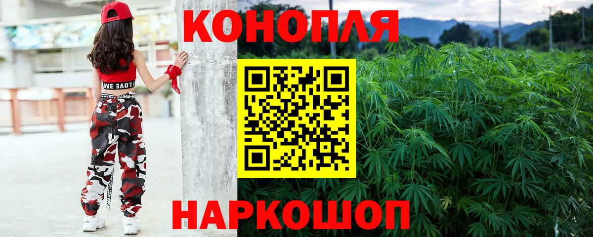 Шишки марихуана семена  Бошки марихуана конопля  Вход с VPN  Киселёвск 